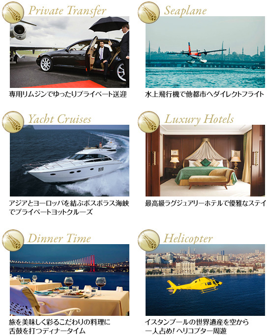 VIPプラン